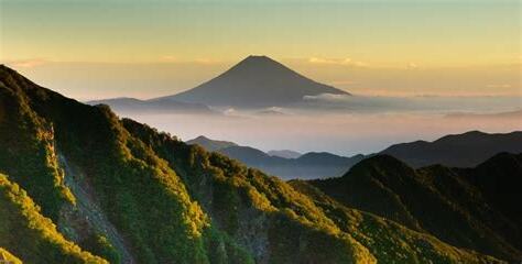 高山 大樹